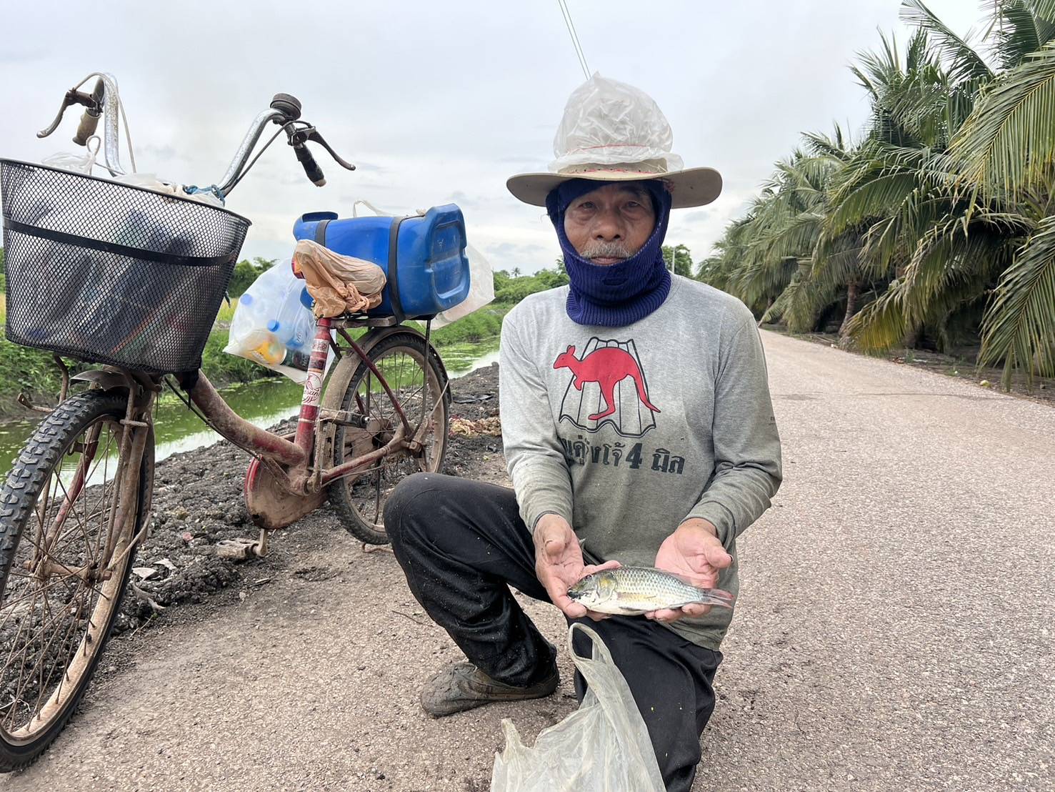 ราชบุรี พบ "หมอคางดำ" ระบาดในคลองปากท่อ