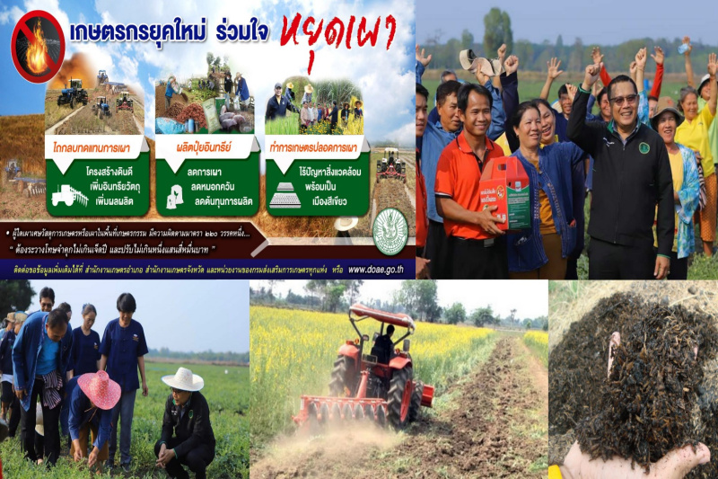 กสก. รณรงค์ไถกลบ-ทำปุ๋ยหมัก งดการเผา ลดปัญหามลพิษทางอากาศ