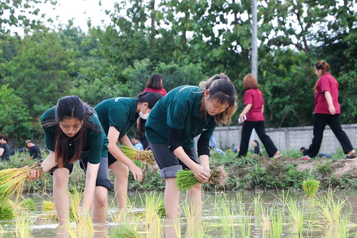 มทร.ล้านนา ปรับหลักสูตรให้ทันสมัย ตอบโจทย์ระเบียงเศรษฐกิจพื้นที่ภาคเหนือ