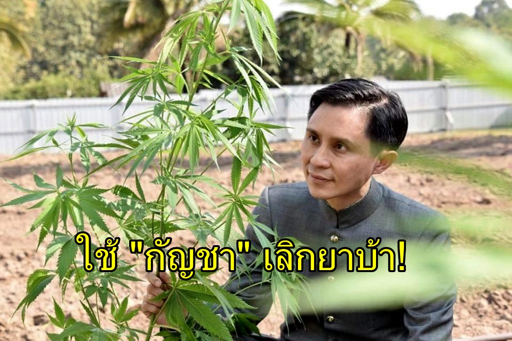 ใช้กัญชาเลิกยาบ้า! “อ.ปานเทพ” เปิดผลวิจัยสหรัฐฯ-แคนาดา พบกัญชา ใช้เลิกยาเสพติดรุนแรงได้