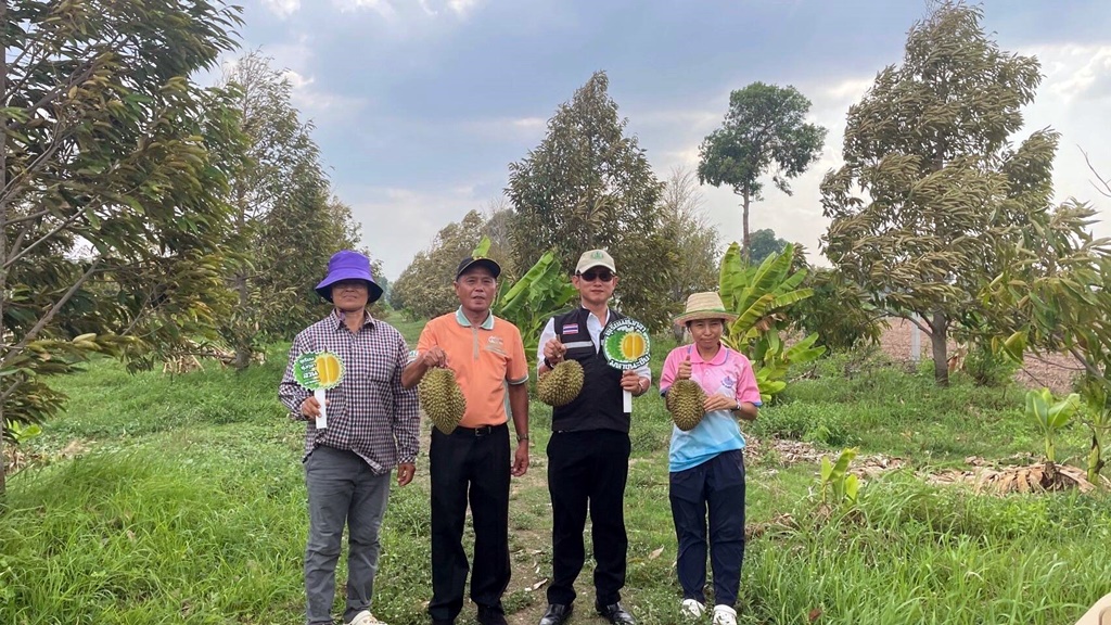 เกษตรยโสธร เยี่ยมชมสวนทุเรียนทุ่งกุลา พร้อมมอบบรรจุภัณฑ์