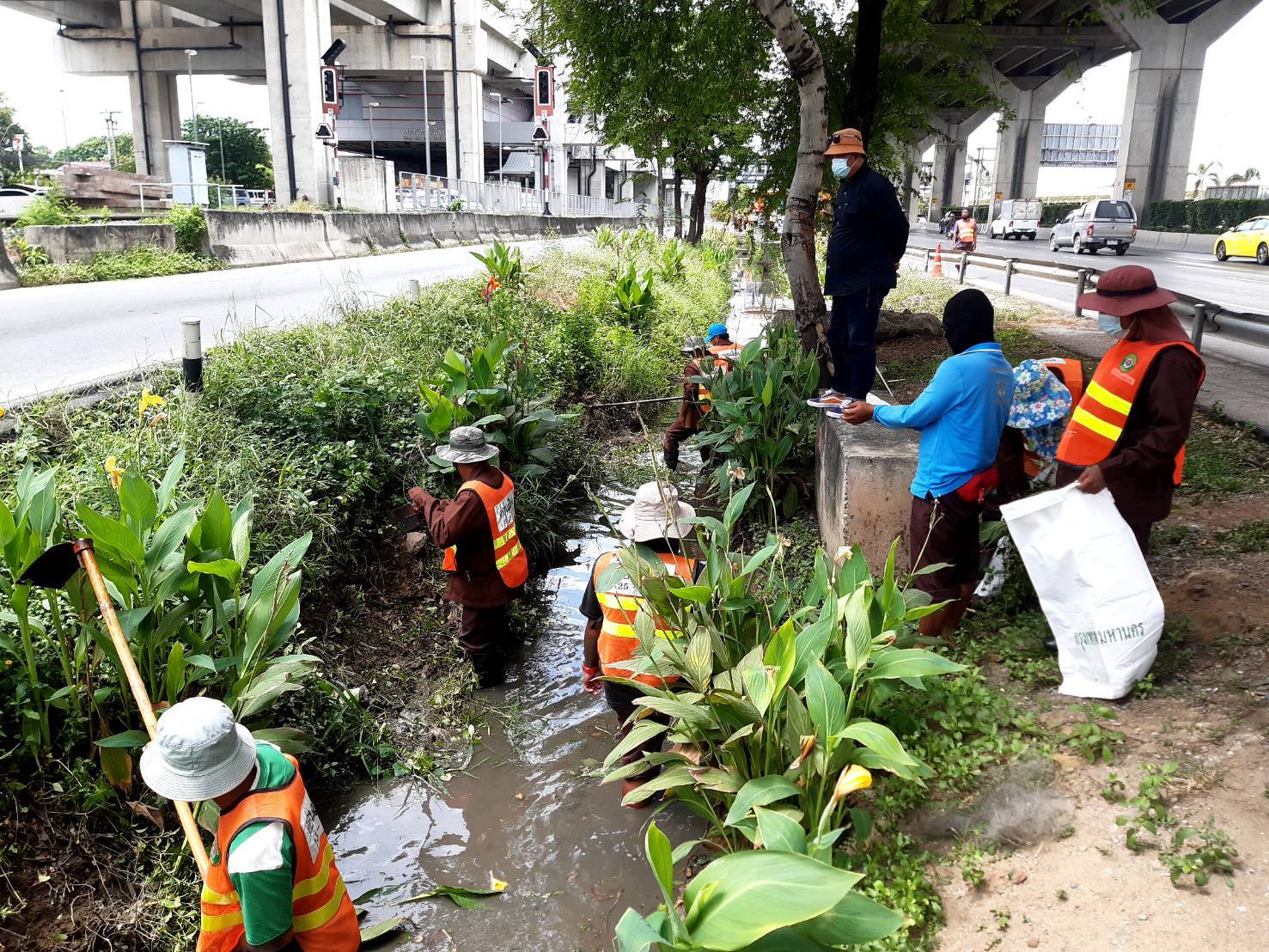 เขตดอนเมือง  ขุดลอกคูน้ำแนวถนนวิภาวดีรังสิต 