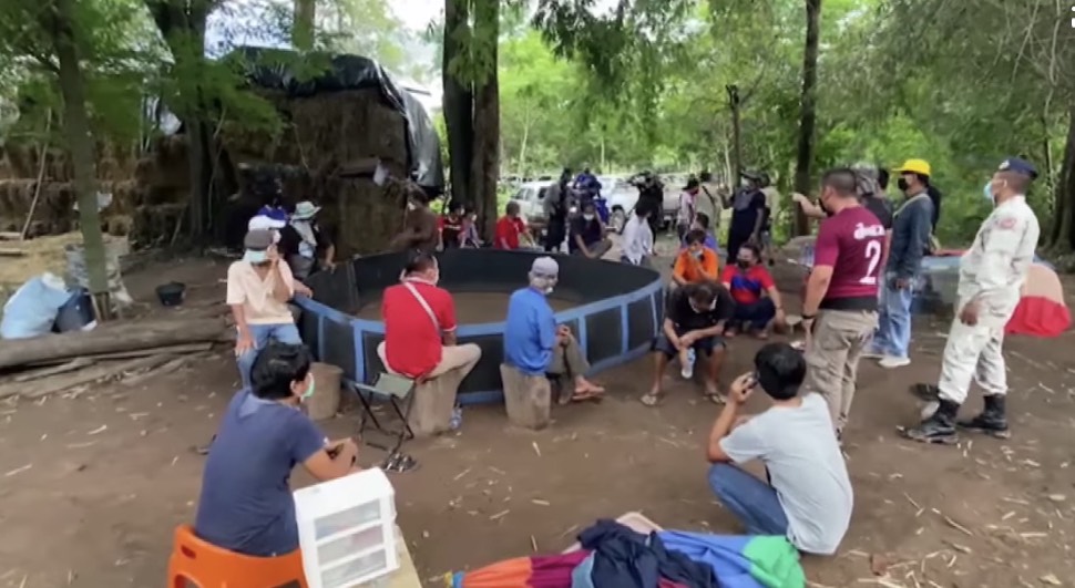 เจ้าหน้าที่อำเภอขุนหาญพรางตัวเข้าจับกุม  เซียนชนไก่ได้โดยละม่อม 22 ราย