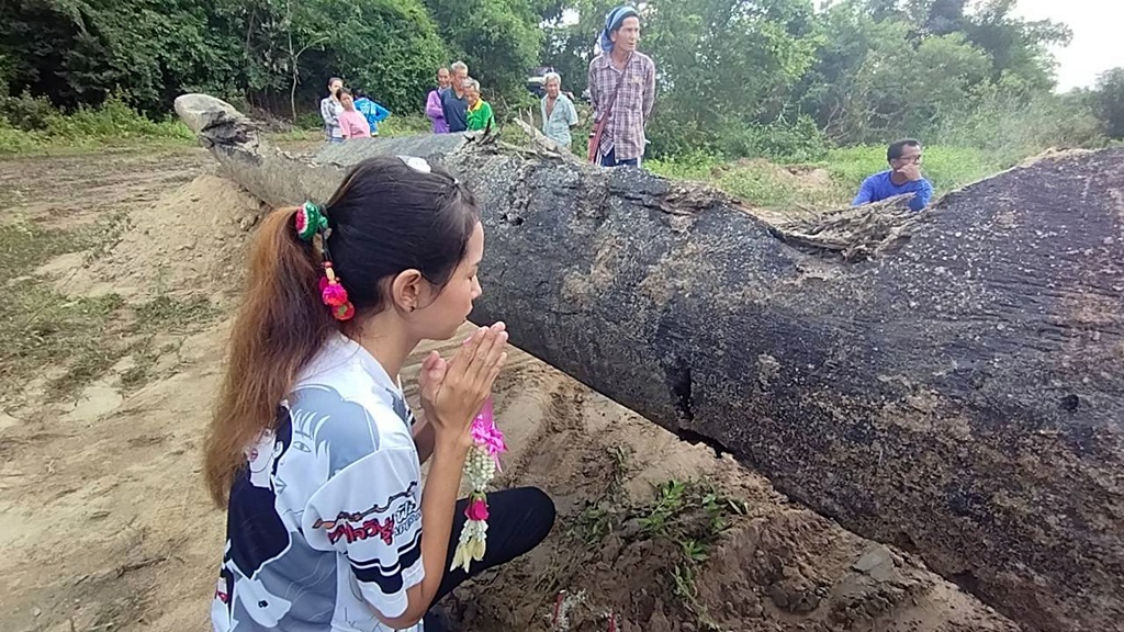 ชาวบ้านฮือฮา! หนุ่มขับแบ็คโฮขุดเจอเรือตะเคียนเก่าแก่ 200 ปี ภรรยาขนลุกเห็นวิญญาณสาวผมยาว