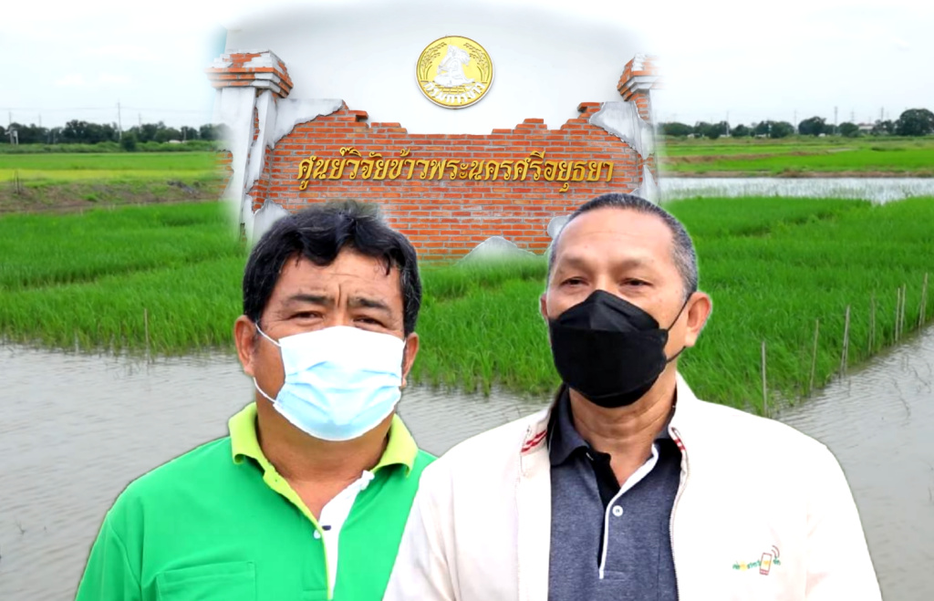 ศูนย์วิจัยข้าวอยุธยา บูรณาการช่วยแก้น้ำแล้งเกษตรกรนาแปลงใหญ่ทุ่งทะเลมหาราช      