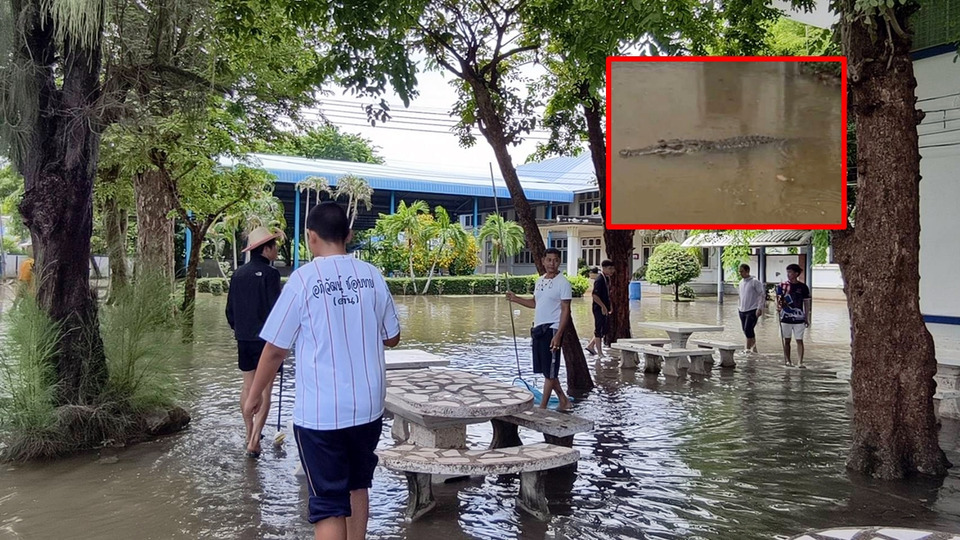 แตกตื่น! ลือจระเข้โผล่โรงเรียนสิงห์สมุทร สุดท้ายเด็กใช้ AI สร้างภาพ