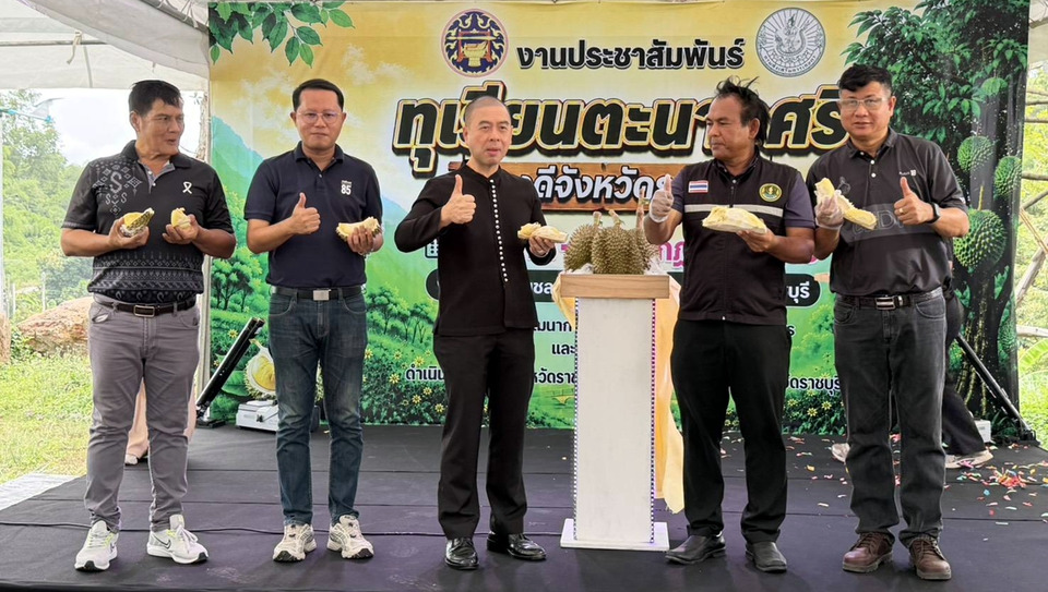 เปิดแล้ว “ทุเรียนตะนาวศรี” ราชบุรี ชวนเที่ยวปากท่อ ชิมทุเรียนสดจากสวน