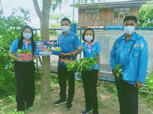 กปภ.ยโสธร ปลูกผักอินทรีย์แจก ปชช.ฟรีช่วงสถานการณ์โควิด