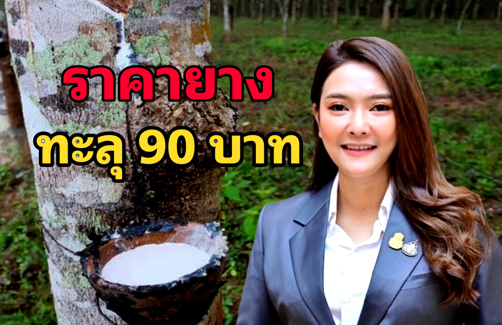 พุ่งทะลุ 90 บาท!! ราคายางสูงสุดในรอบ 7 ปี