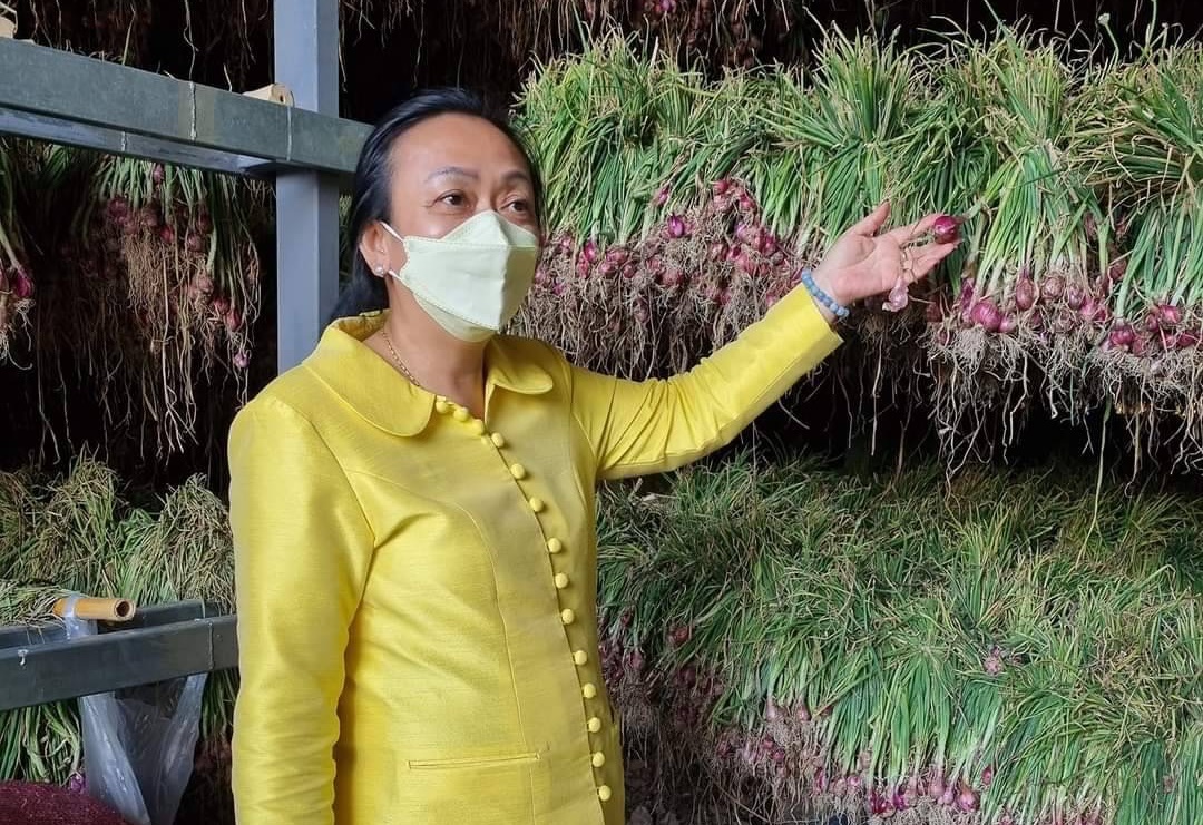 คณะที่ปรึกษา รมว.กระทรวงเกษตรฯ  ลงพื้นที่แก้ไขปัญหาหอมแดงที่อำเภอยางชุมน้อย 