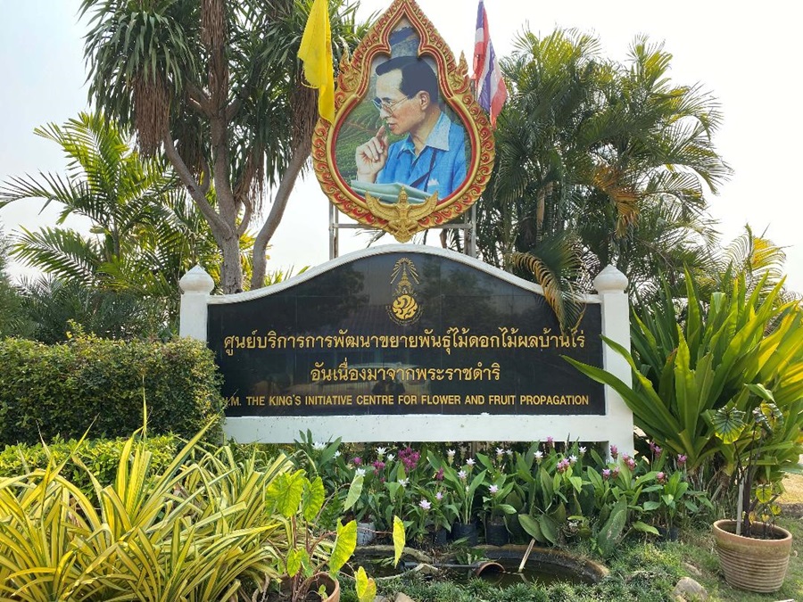 ศูนย์บริการพัฒนาขยายพันธุ์ไม้ดอกไม้ผลบ้านไร่ฯ สร้างรายได้ให้ราษฎร