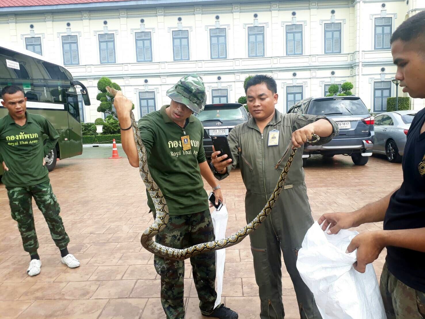ตะลึง!งูเหลือมตัวเขื่อง โผล่กลาง ทบ.ก่อนฤดูโยกย้ายนายทหาร