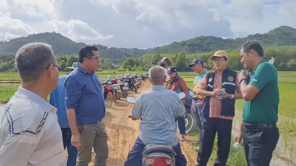 รองอธิบดีกรมส่งเสริมการเกษตร ร่วมดำนาข้าวในนาแปลงสุดท้ายของจังหวัดพังงาที่เกาะยาว