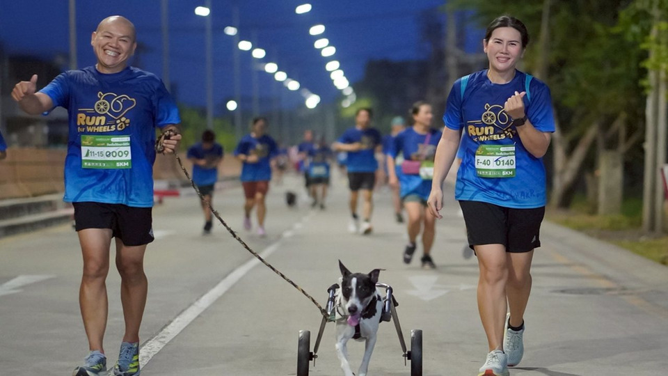 โค้งสุดท้าย! ชวนร่วม “Run for Wheels 5” วิ่งการกุศลเพื่อหมาพิการ ชิงถ้วยพระราชทาน 11 ม.ค.นี้