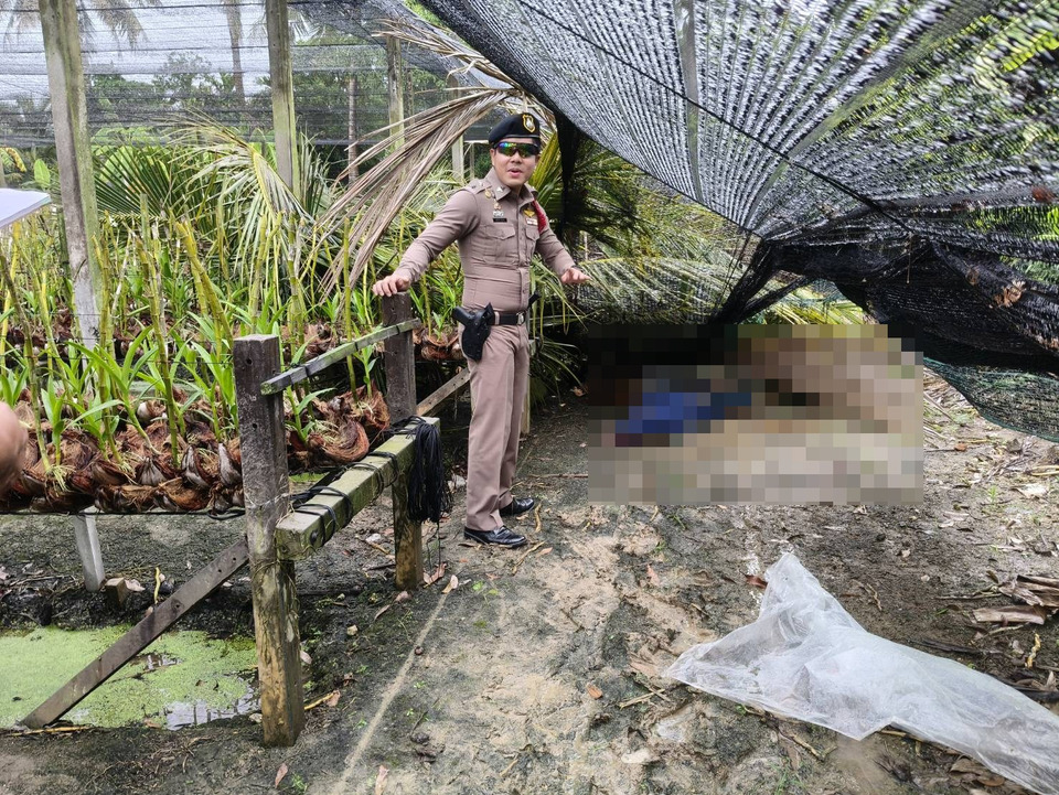 พายุฝนลมกรรโชกแรงพัดต้นมะพร้าวล้มทับหญิงวัย 74 ปี เสียชีวิตคาสวนกล้วยไม้ อ.สามพราน จ.นครปฐม