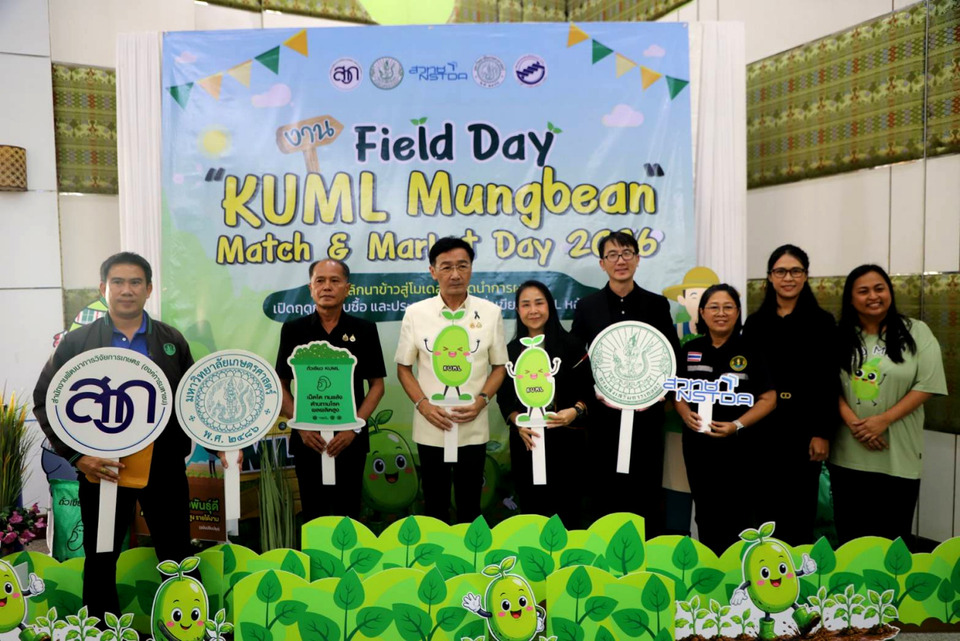 ยโสธรดันปลูกถั่วเขียว KUML หลังนา ประกันราคาสูงสุด 40 บาทต่อกิโล