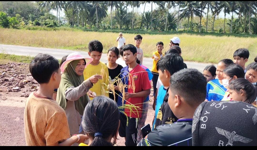 ยุวเกษตรกรเมืองสงขลาลงแขกเก็บข้าวเรียนรู้นอกห้องเรียน