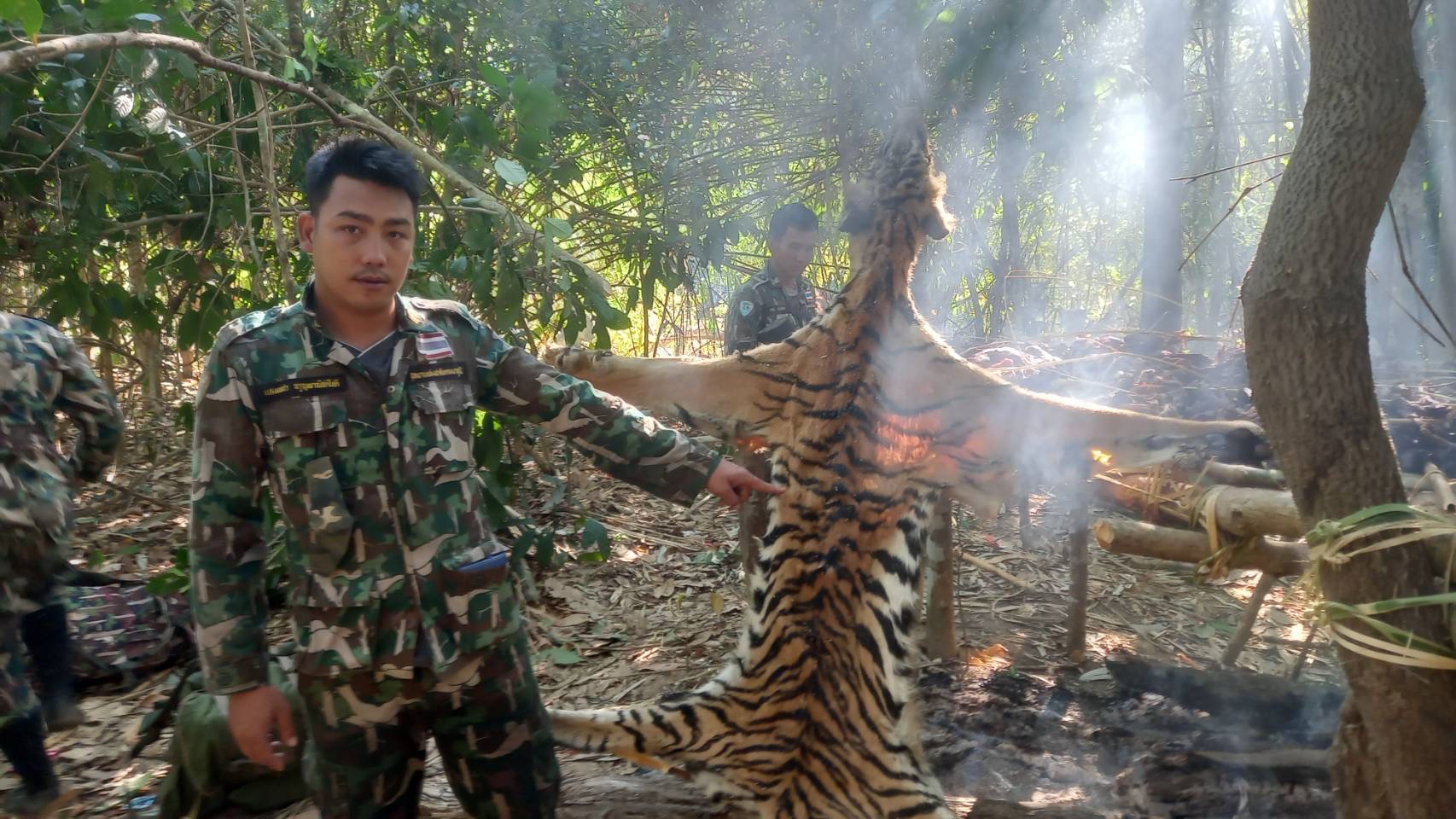 ศาลจังหวัดทองผาภูมิ สั่งจำคุก 8 ปี 18 เดือน 5 นายพรานฆ่าชำแหละ 2 เสือโคร่งแม่ลูก