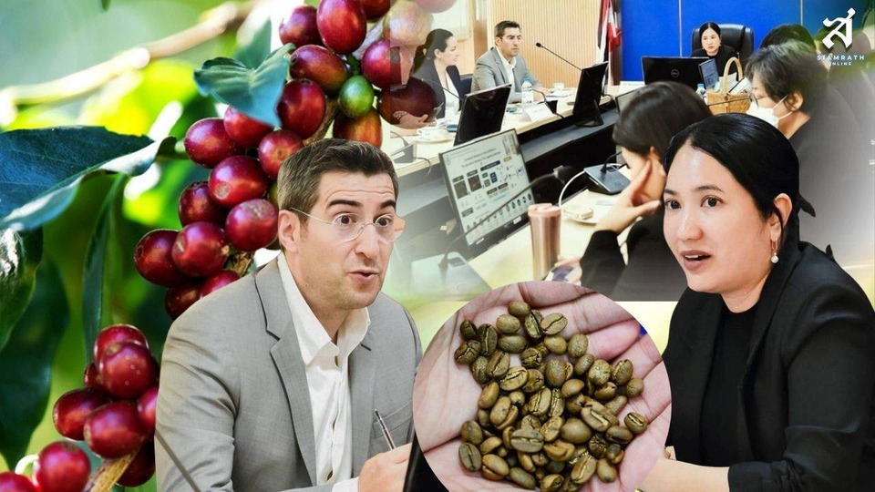 มกอช. จับมือ UNCTAD ดันกาแฟไทยสู่ตลาดยั่งยืน รองรับกฎ EUDR สหภาพยุโรป