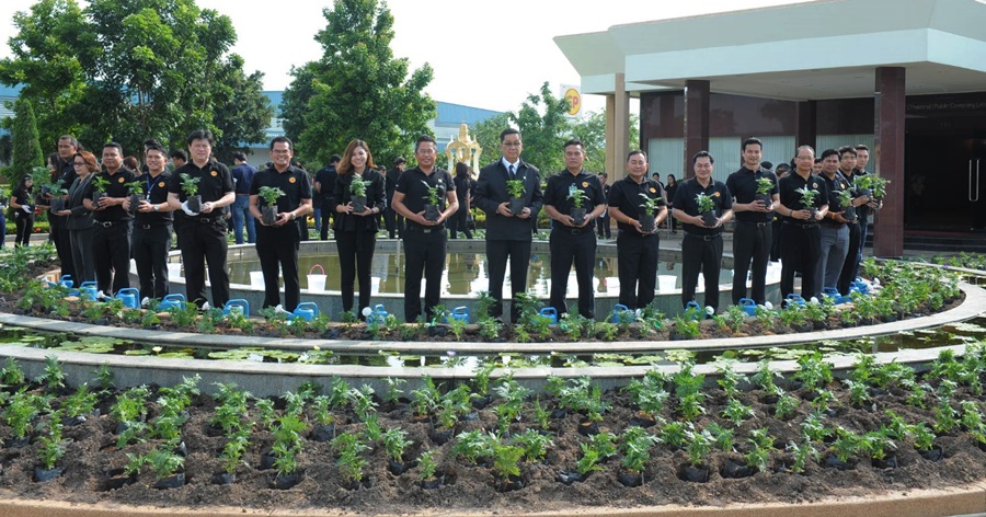 ซีพีเอฟ ร้อยดวงใจปลูกดอกดาวเรืองถวายพ่อหลวง ร.9 ณ โรงงานทุกแห่งทั่วไทย 