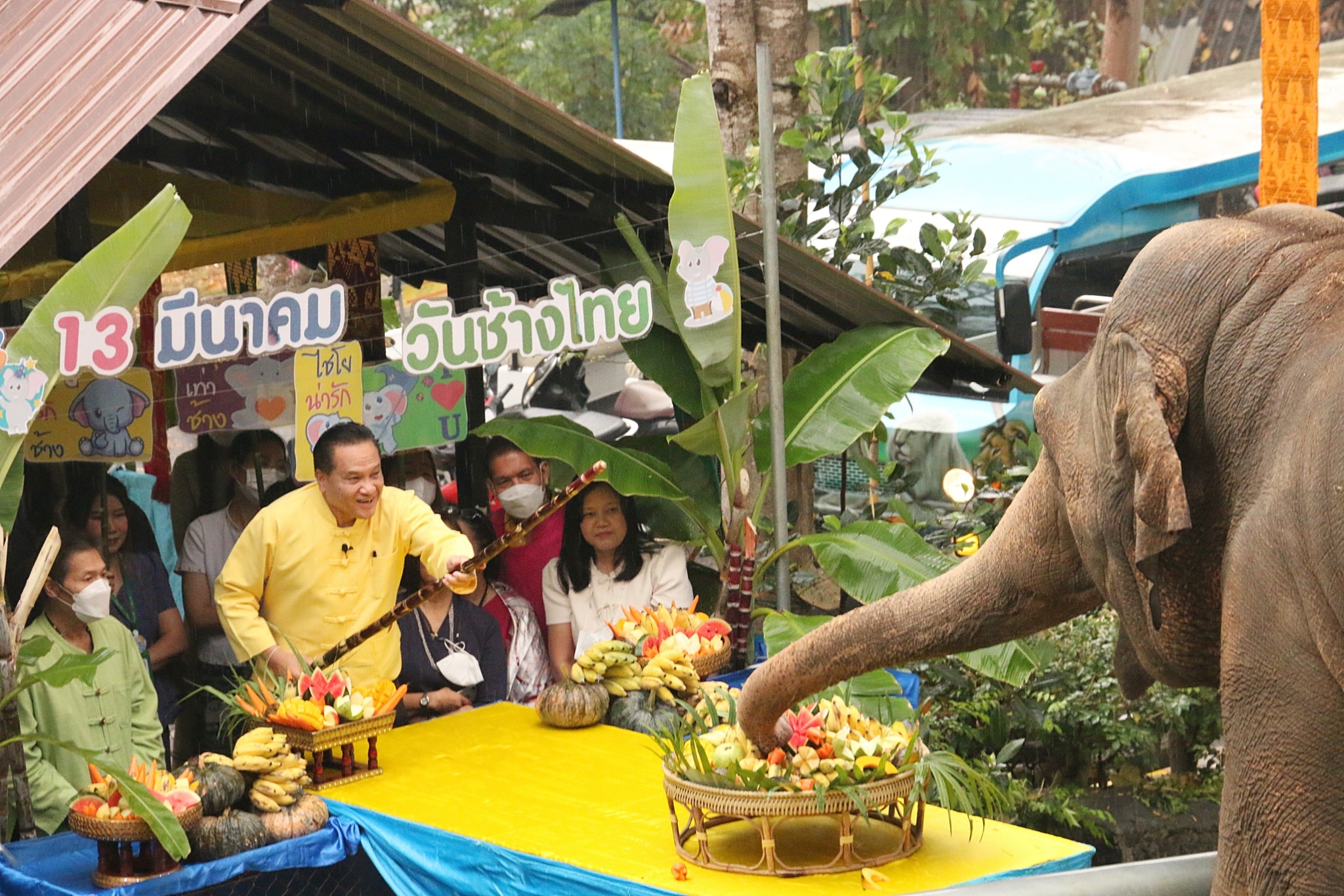 สวนสัตว์เชียงใหม่ จัดกิจกรรมวันช้างไทย ประจำปี 2566 ณ ส่วนจัดแสดงช้างเอเชีย 