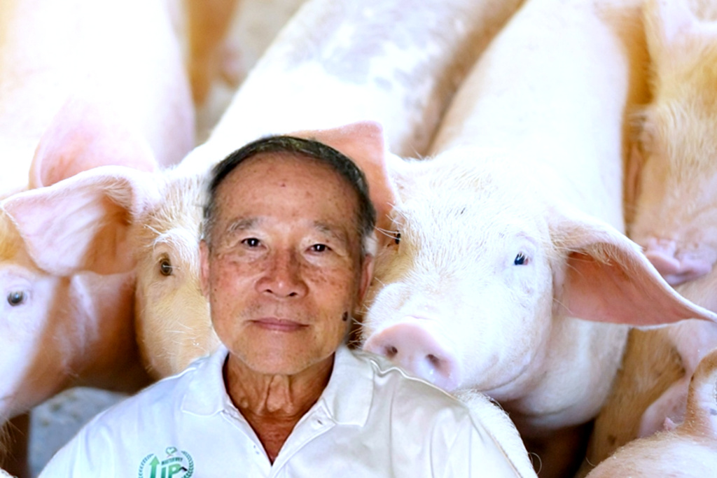 เกษตรกรเลี้ยงหมูช้ำ!! ขาดทุนสะสม 3 ปี ต้นทุนพุ่ง ป้องกันโรคเข้ม หมูขาดแคลน วอนผู้บริโภคเห็นใจ