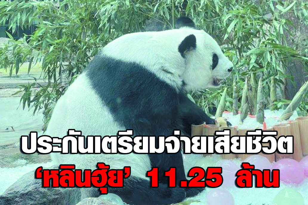 ประกันฯเตรียมจ่ายกรณีเสียชีวิต"หลินฮุ่ย" 11,250, 000บาท                  