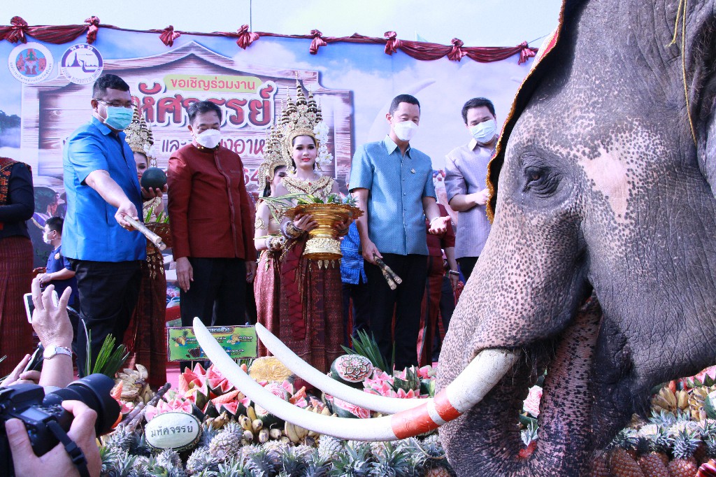 ยังยิ่งใหญ่! ขบวนช้างกว่า 140 เชือก พาเหรดเข้าเมืองสุรินทร์  ร่วมงานเลี้ยงบุฟเฟ่ต์ช้างยาว 400 เมตร 