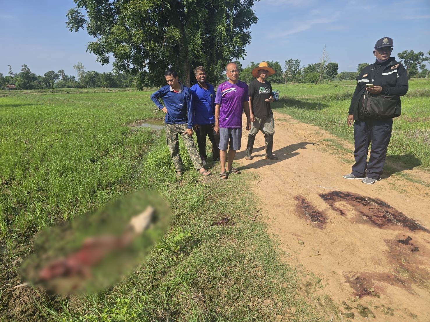บุรีรัมย์ ผวาโจรซอยจุ๊ตระเวนชำแหละวัวชาวบ้านถึงคอก วอนตำรวจเร่งล่าตัว