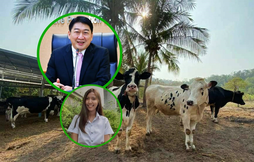 เปิดรับสมัครทุน "เรียนฟรี" ทายาทสหกรณ์ สานต่ออาชีพพระราชทาน "เลี้ยงโคนม" 