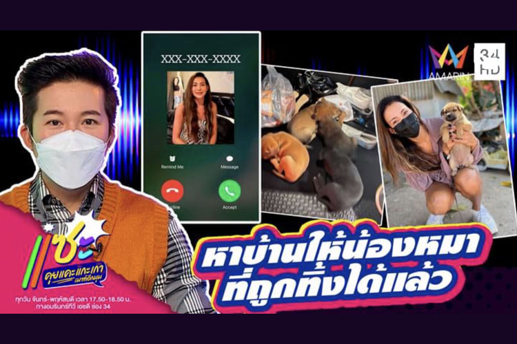 'โย ยศวดี'  แจงปรี๊ดแตกเจอคนใจบาปเอาสุนัขทิ้งข้างทาง อยากให้กฎหมายคุ้มครองสัตว์มีบทลงโทษ