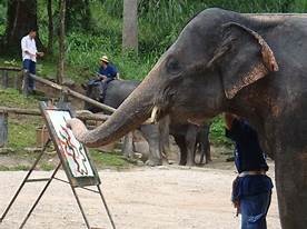 ม.เกษตรฯ ชวนร่วมกิจกรรมประมูลภาพวาดฝีมือช้าง สมทบทุนช่วยช้างไทย 23 พ.ค.นี้ 