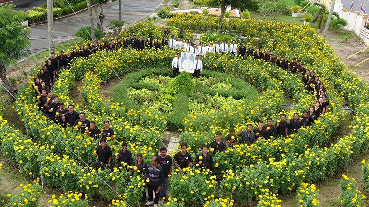 "สตูล" แปรอักษรรูปหัวใจกลางทุ่งดอกดาวเรืองบานสะพรั่ง