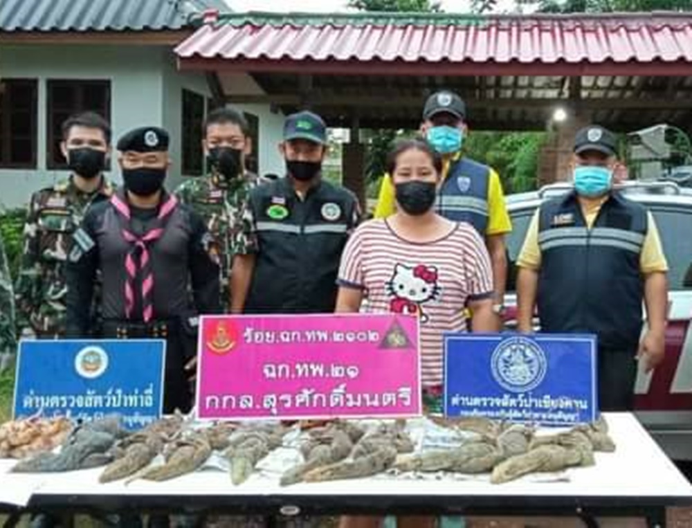 รวบสาว ลักลอบนำสัตว์ป่าคุ้มครอง ข้ามแม่น้ำเหือง จ.เลย