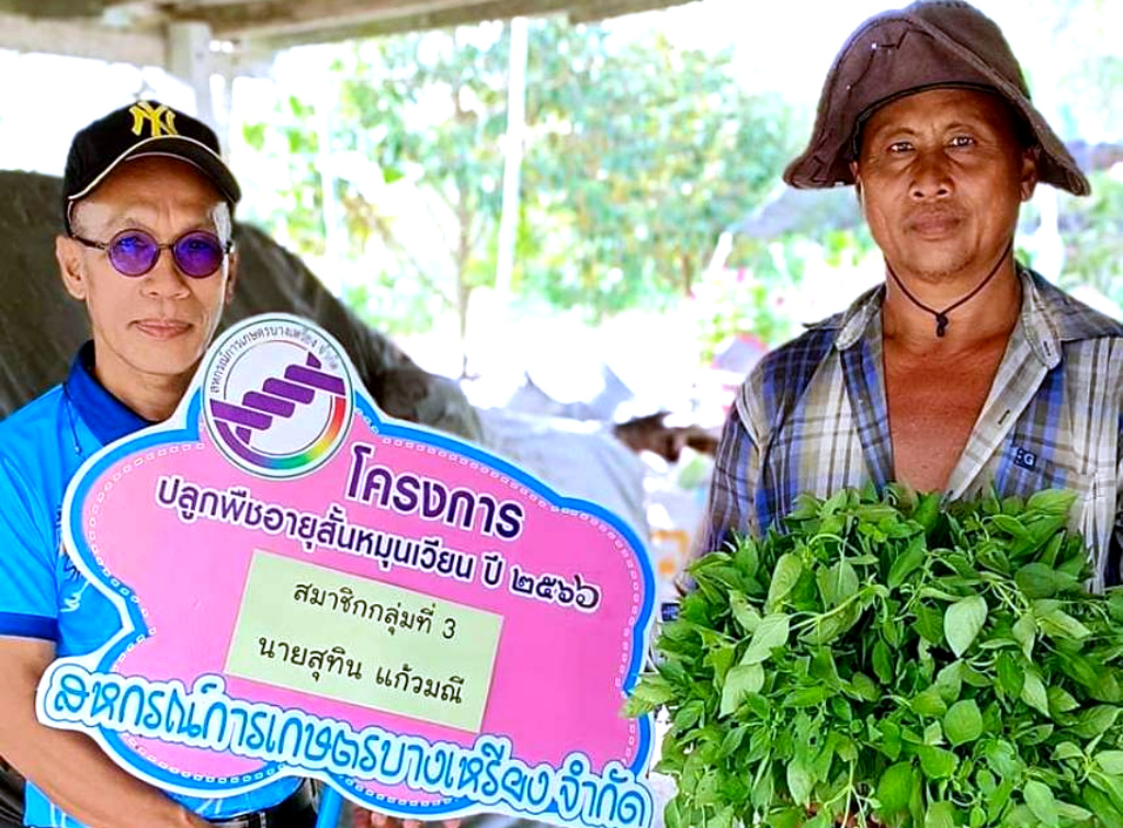 สกก.บางเหรียง ปล่อยกู้ดอกเบี้ยต่ำ หนุนสมาชิกปลูกพืชระยะสั้นแก้หนี้แก้จน