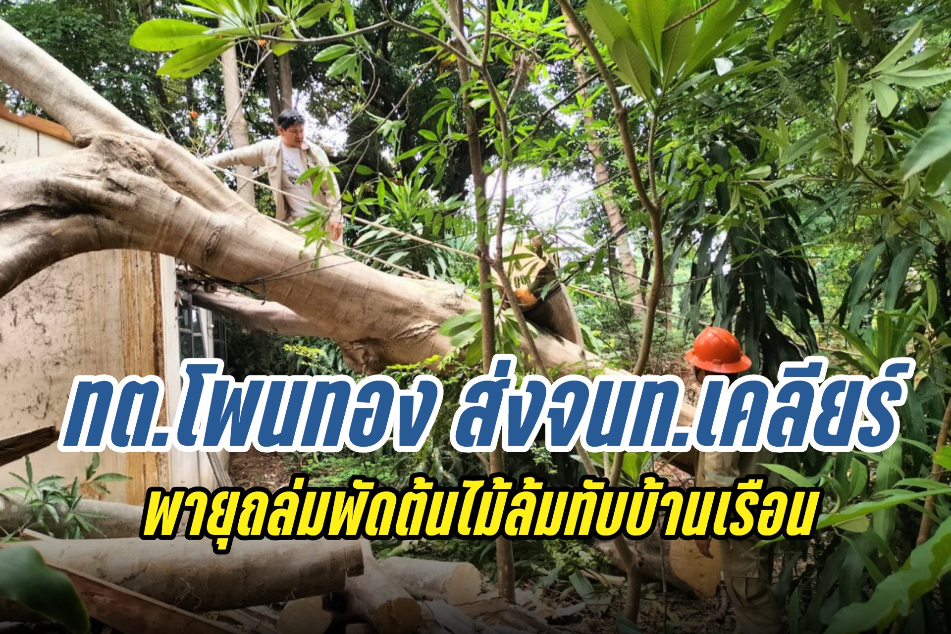 นายก ทต.โพนทอง นำเจ้าหน้าที่เก็บกู้ไม้ล้มทับบ้านหวั่นไฟฟ้าช็อต