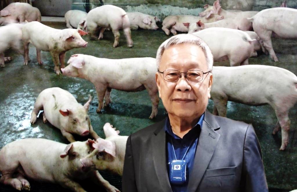 ยันราคาต่ำกว่าต้นทุนผลิต!! ผู้เลี้ยงหมูวอนผู้บริโภคเข้าใจ ราคาปรับขึ้นตามกลไกตลาด 