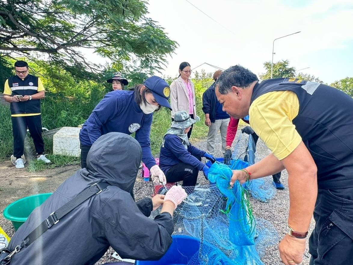 ประมงเพชรบุรี ดึงพลังชุมชนปราบ "ปลาหมอคางดำ" คิกออฟ ทีมอาสาสมัครประจำอำเภอสร้างเครือข่ายป้องกันการระบาด