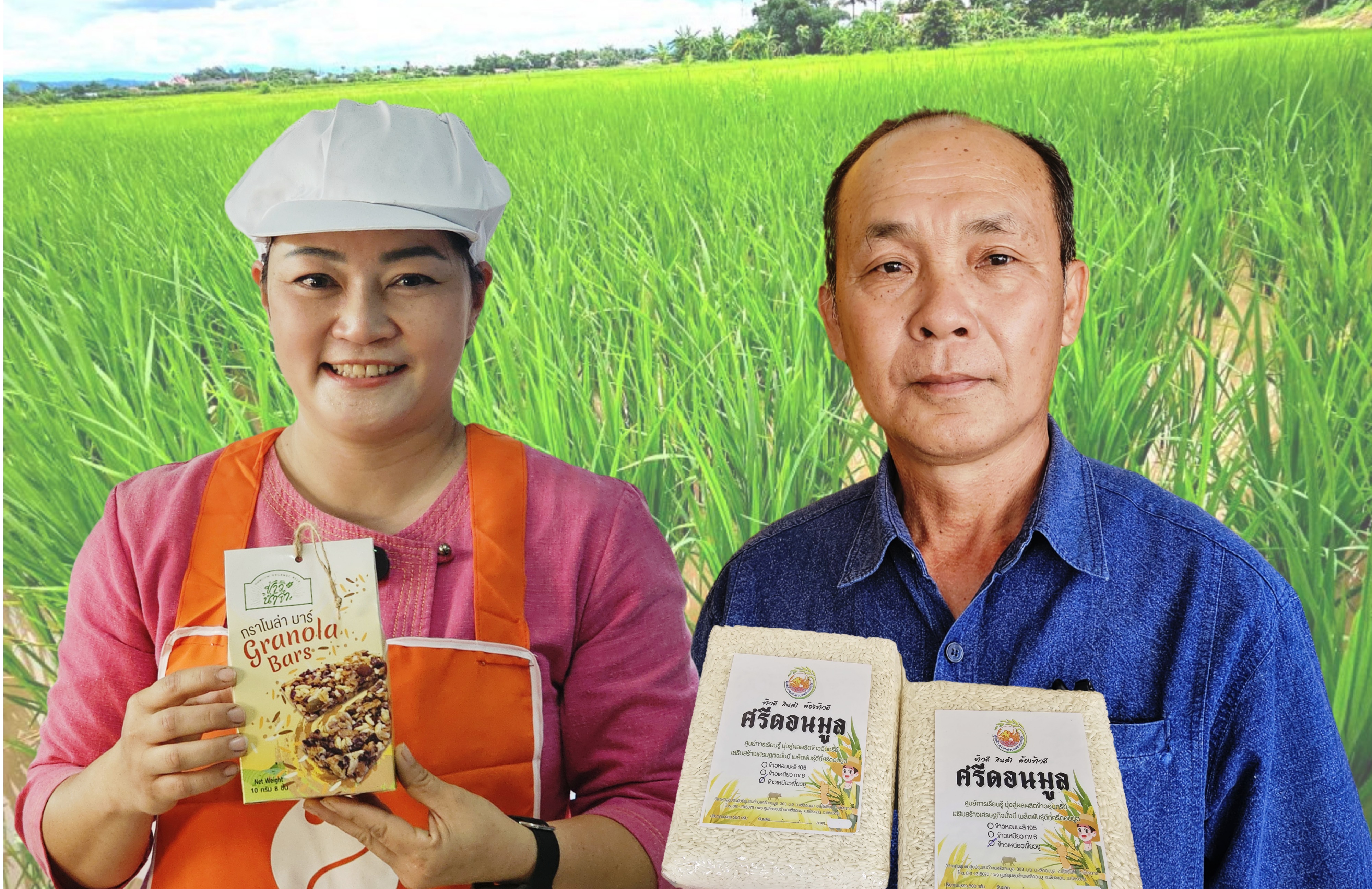 กรมการข้าว เดินหน้าปี 68 ส่งเสริมเกษตรแบบแปลงใหญ่