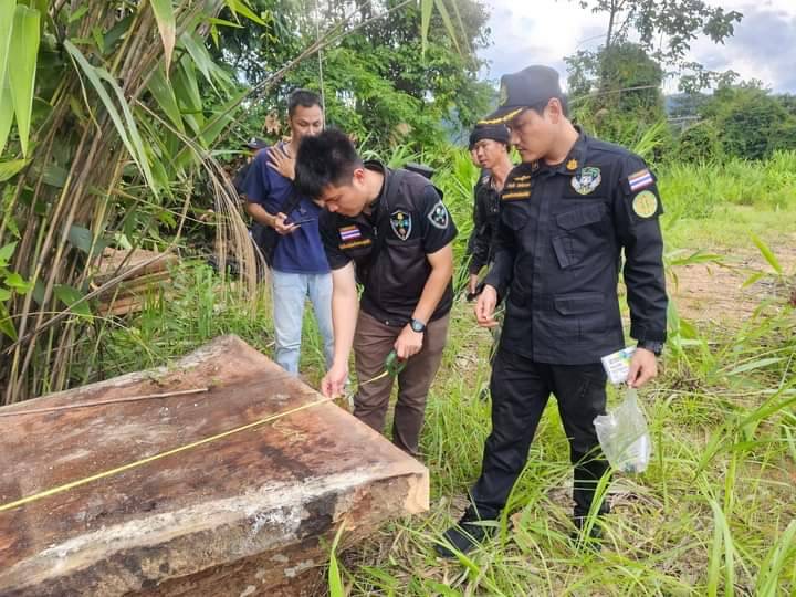 ชุดพยัคฆ์ไพร กรมป่าไม้ สนธิกำลังฝ่ายปกครอง และตำรวจ ตชด. ปูพรม 4 จุด เข้าตรวจยึดไม้ลักลอบตัดในเขตอุทยาน