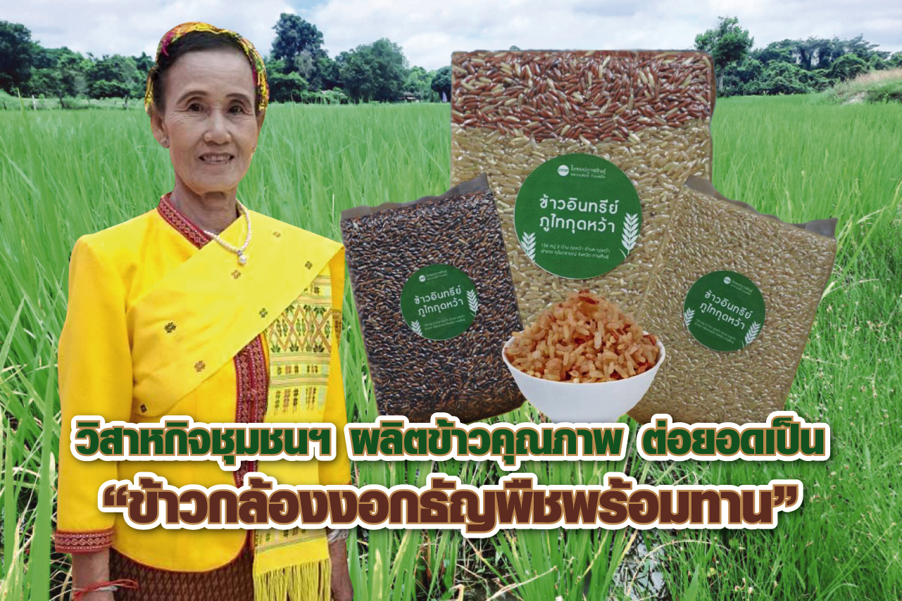 วิสาหกิจชุมชนฯ ผลิตข้าวคุณภาพ ต่อยอดเป็น “ข้าวกล้องงอกธัญพืชพร้อมทาน” 
