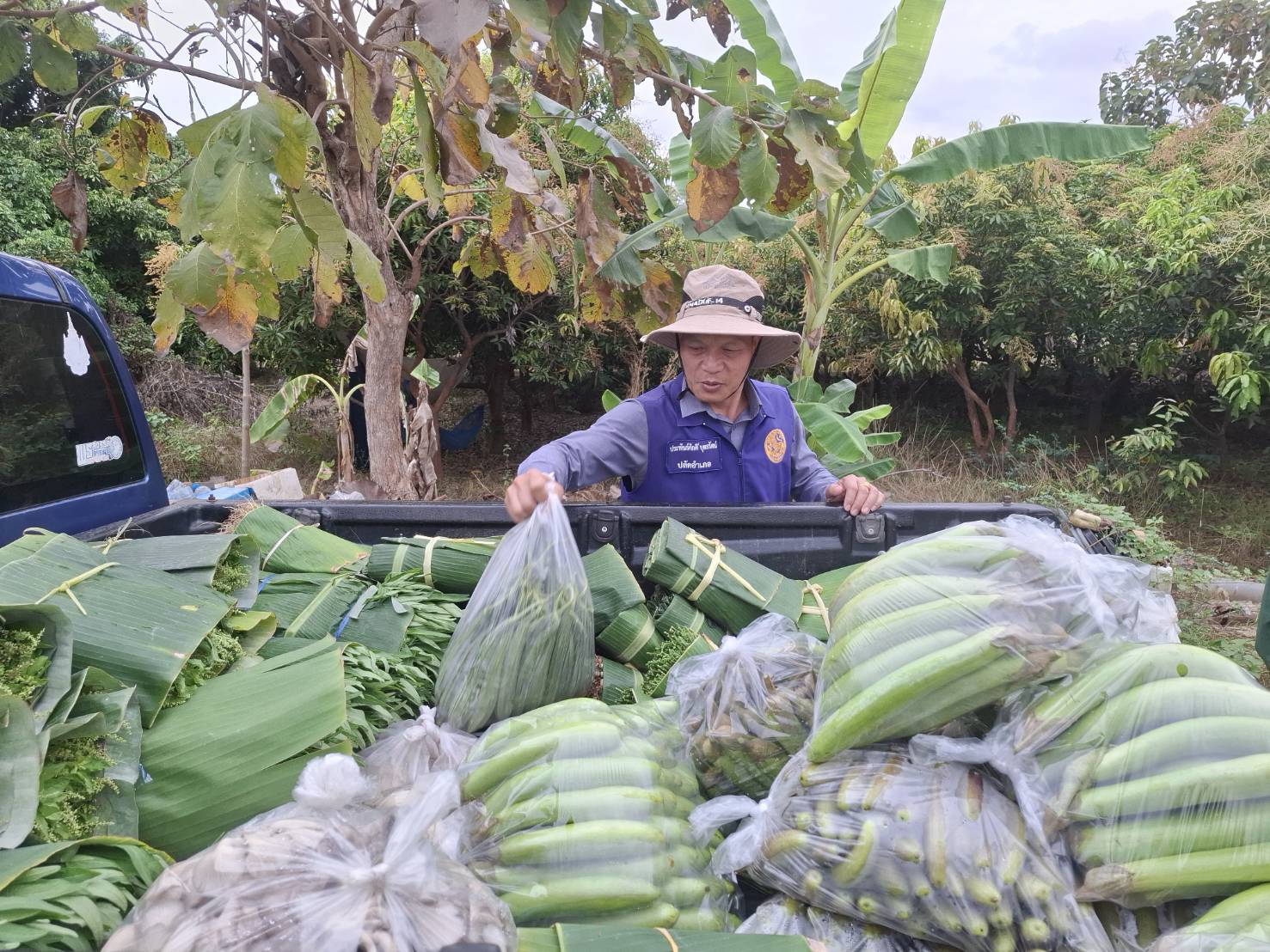 สุโขทัยมุ่งเน้นส่งเสริมเกษตรกรทางเลือกใหม่ให้มีรายได้ในอ.สวรรคโลก