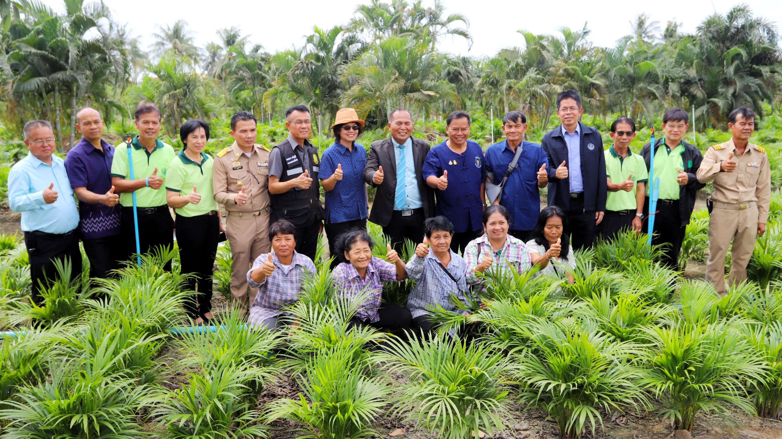 เกษตรปทุมฯชูหมากเหลืองพืชเศษฐกิจใหม่เดินหน้าพัฒนาเกษตรเชิงพื้นที่ ยึดพื้นที่เป็นตัวตั้ง