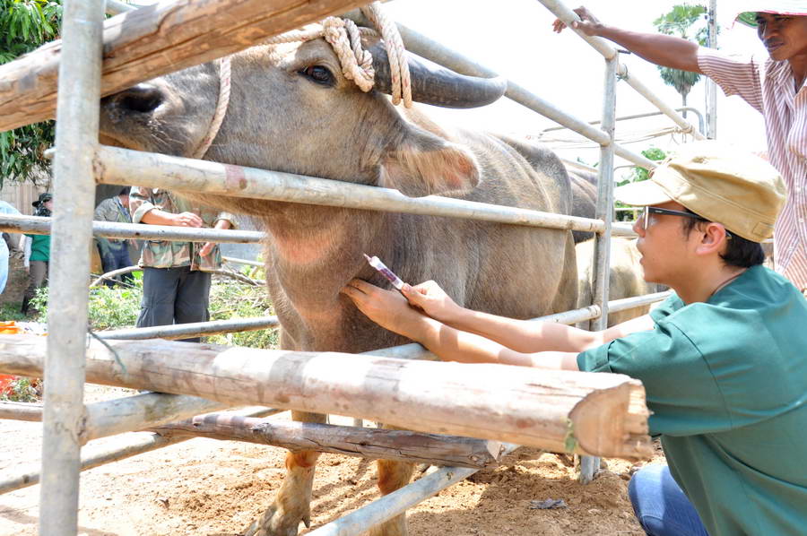 กรมปศุสัตว์ ออกหน่วยสัตวแพทย์พระราชทานฯ เปิดบริการรักษาสัตว์เลี้ยงแก่เกษตรกรผู้ยากไร้ เมืองพัทลุง-นครศรีฯ  27-29 มิ.ย.นี้