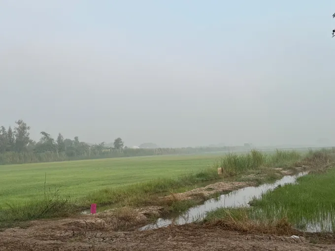 ปทุมธานีธัญบุรีหมอกฝุ่น PM2.5 หนาแน่น
