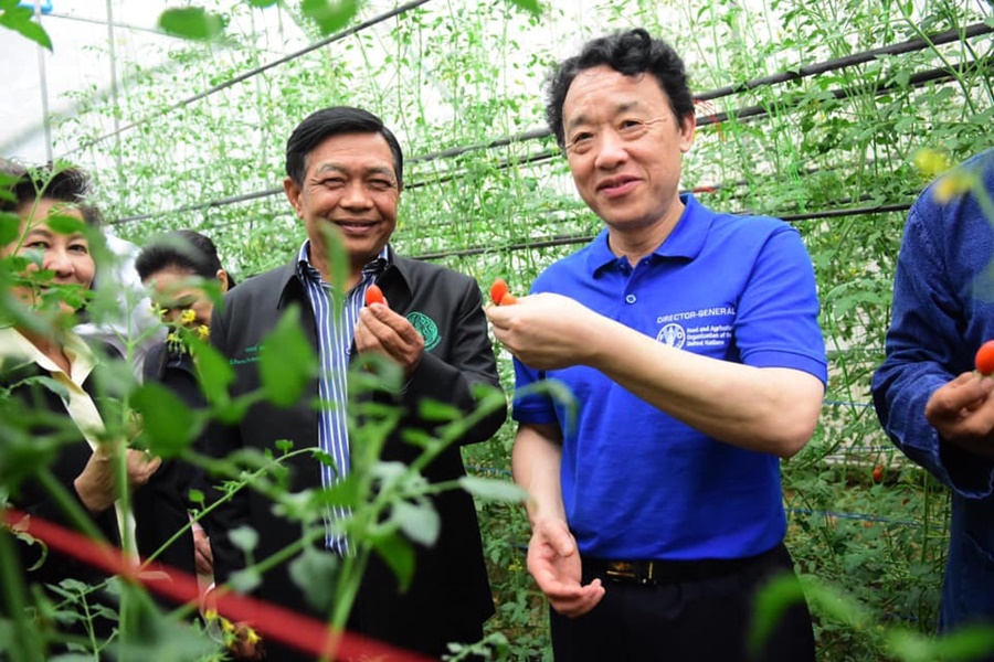 ปลื้ม!! ผอ.ใหญ่ FAO ชื่นชมนโยบายปฏิรูปการเกษตรไทย