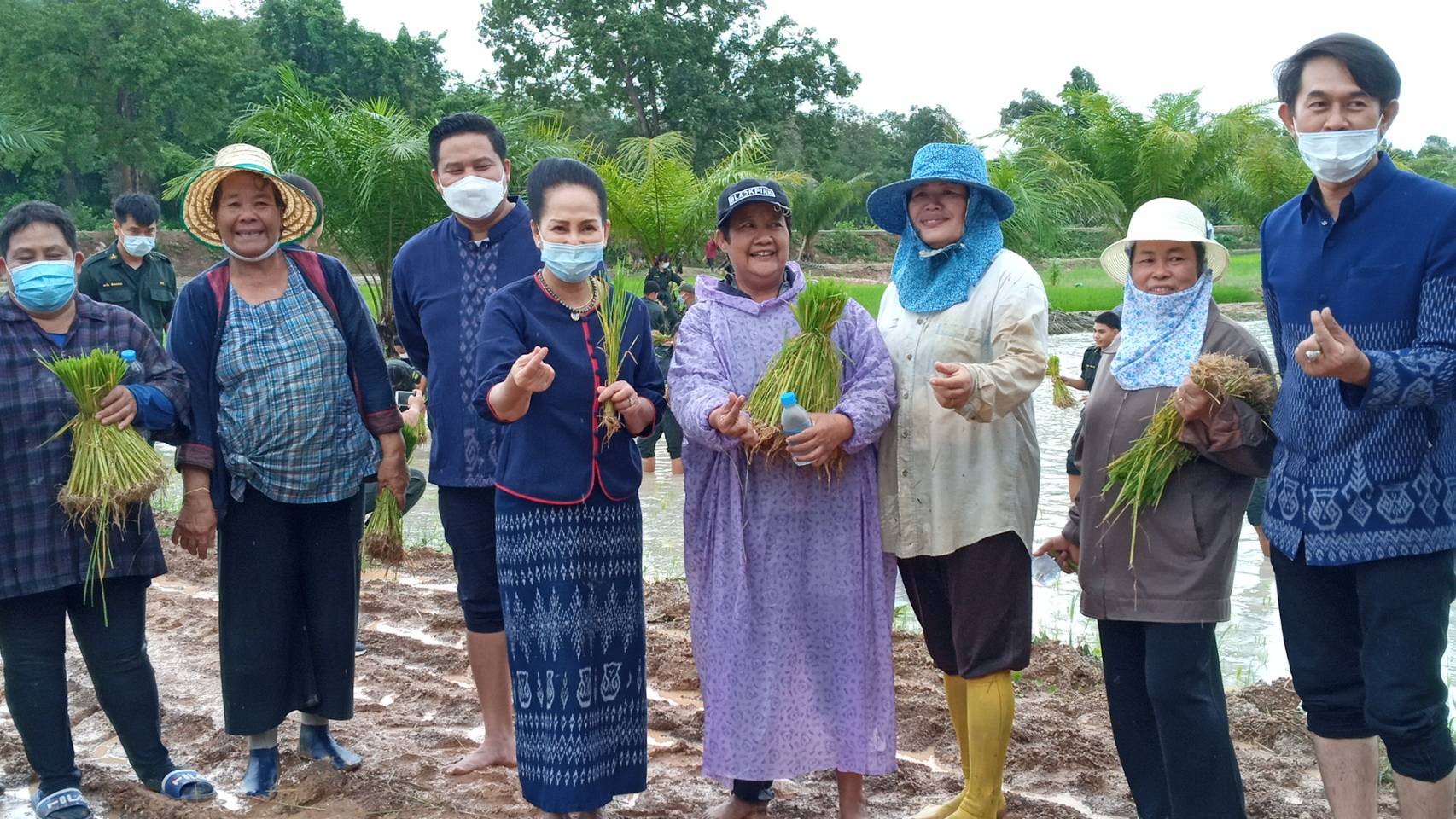 สส.หญิง อุดรธานี ลุยทุ่งนาพาชาวบ้านลงแขกดำนาแปลงสาธิต วัดสันติวนาราม