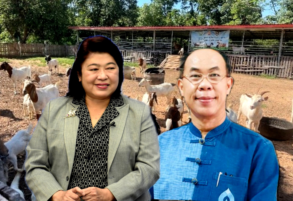 วช. หนุนม.ขอนแก่น ยกระดับเลี้ยงแพะภาคอีสาน สร้างความเข้มแข็งเครือข่ายเกษตรกร