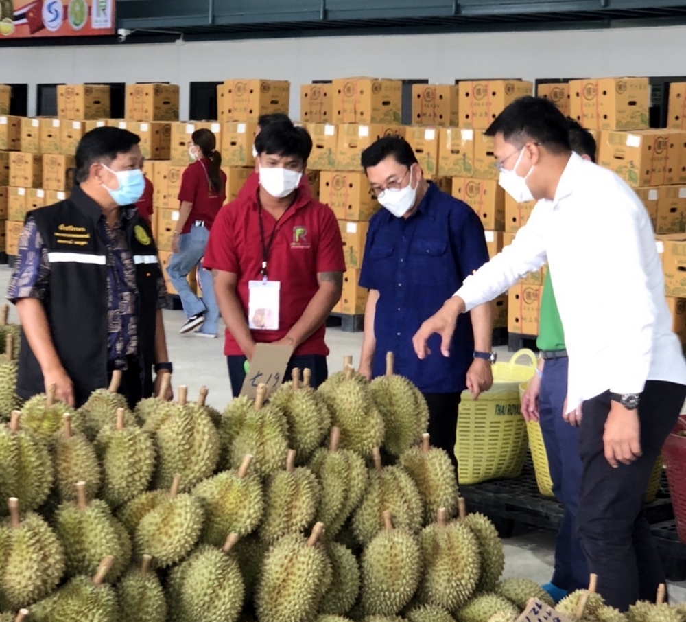  เตรียมส่งออกทุเรียนล็อตใหม่ ขึ้นขบวนรถไฟ "จีน-ลาว" กลางสัปดาห์หน้า