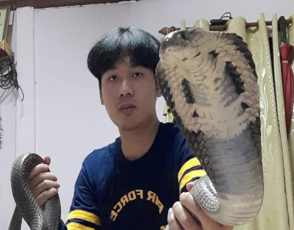 สุดทึ่ง! ไม่น่าเชื่อหนุ่มน้อยใจมันรักชอบเก็บงูข้ามถนนมาเลี้ยงอนุบาล ก่อนปล่อยคืนสู่ธรรมชาติ 